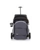 Chipolino Stroller Pixie Ash Grey