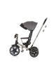 Chipolino Tricycle Derby 360 Granite 