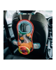 Chipolino Activity Steering Wheel 3 in 1 