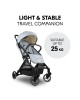 Hauck Stroller Travel n Care Disney Simba