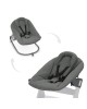 Hauck Alpha Bouncer Premium Dark Grey