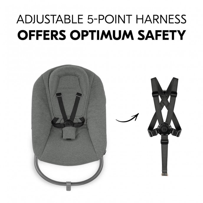 Hauck Alpha Bouncer Premium Dark Grey