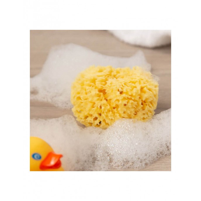 Kiokids Natural Wash Sponge