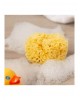 Kiokids Natural Wash Sponge