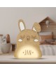 Vintiun Personalised Light Up Animal Lamp Rabbit